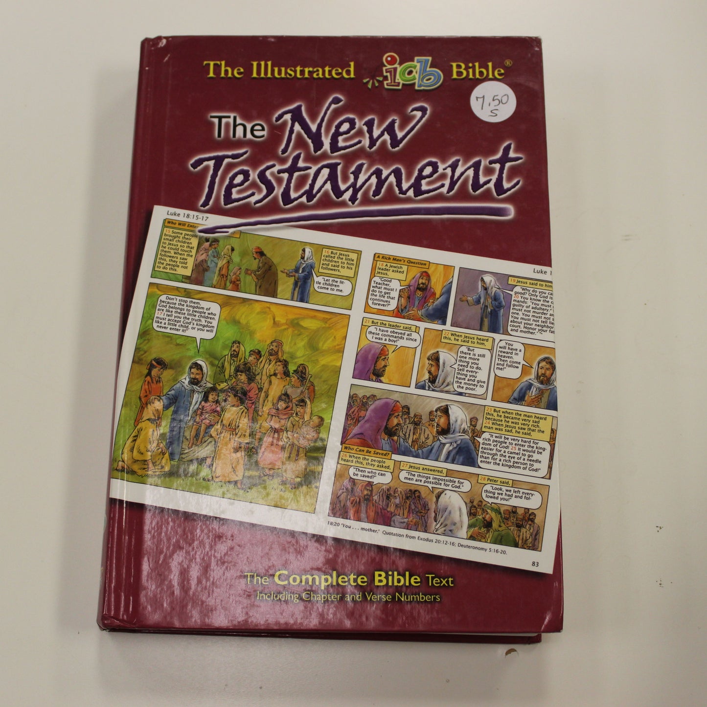 THE ILLUSTRATED BIBLE THE NEW TESTAMENT