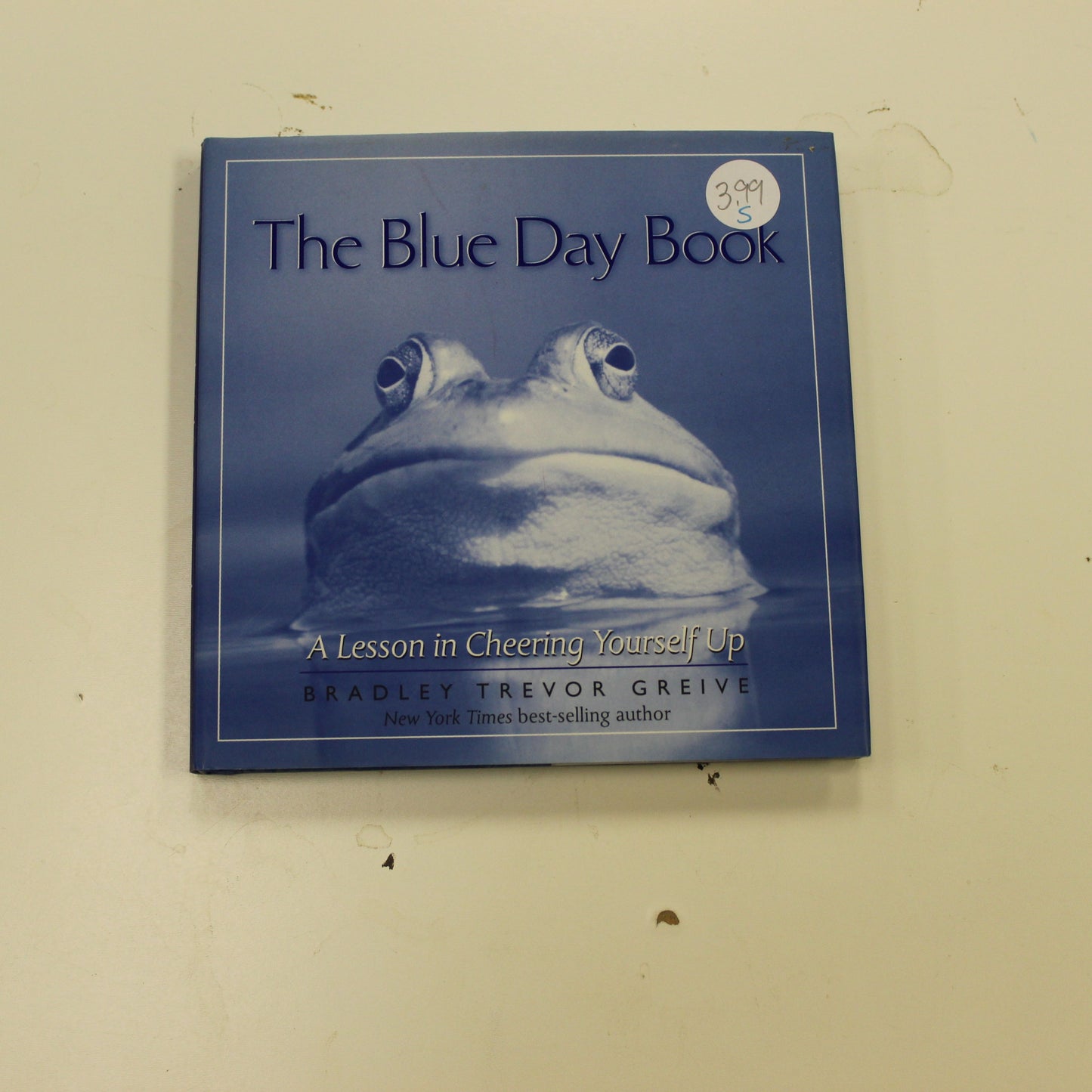 THE BLUE DAY BOOK: A LESSON IN CHEERING YOURSELF UP