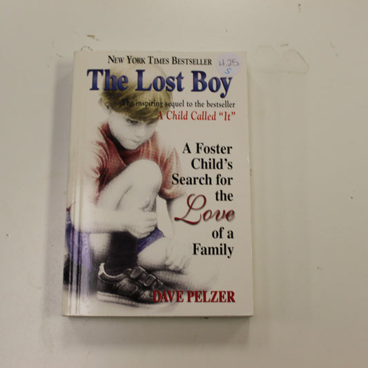 THE LOST BOY: A FOSTER CHILD'S SEARCH FOR THE LOVE OF A FAMILY