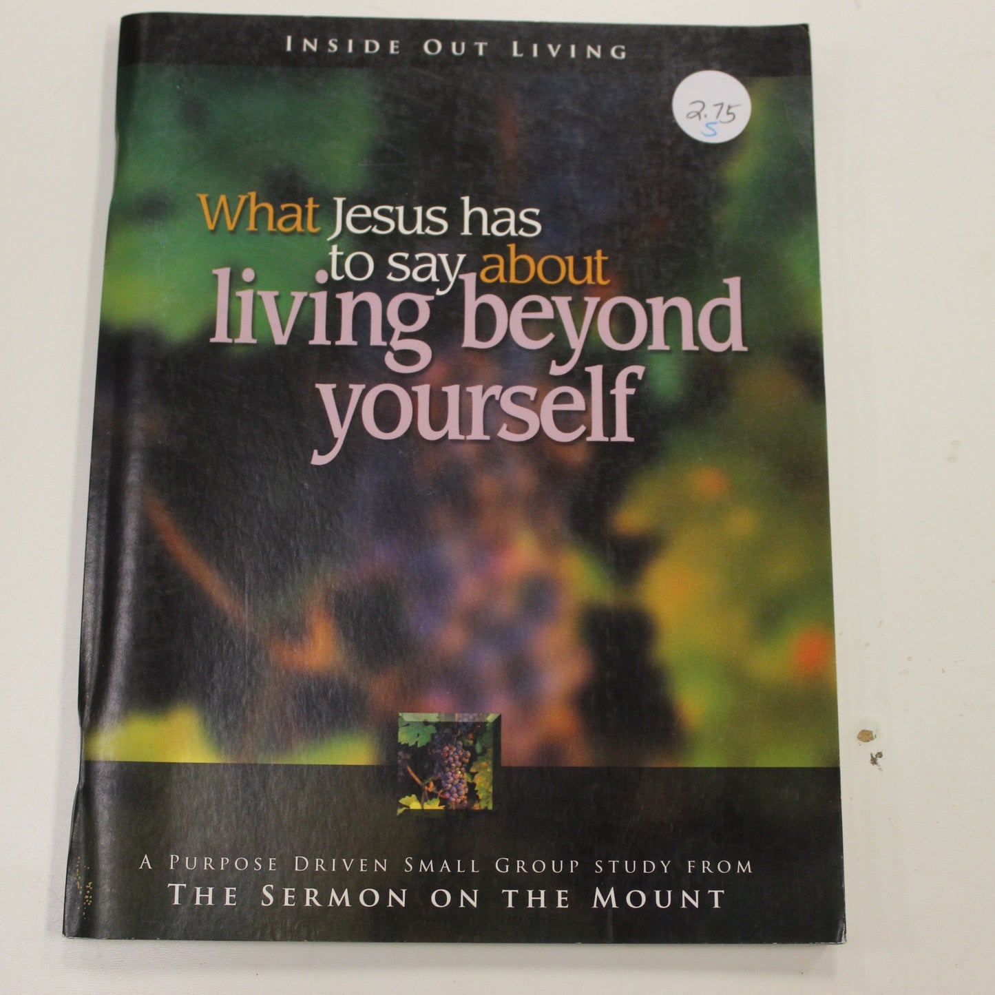 WHAT JESUS HAS TO SAY ABOUT LIVING BEYOND YOURSELF