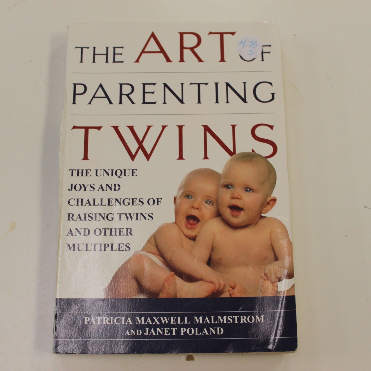 THE ART OF PARENTING TWINS